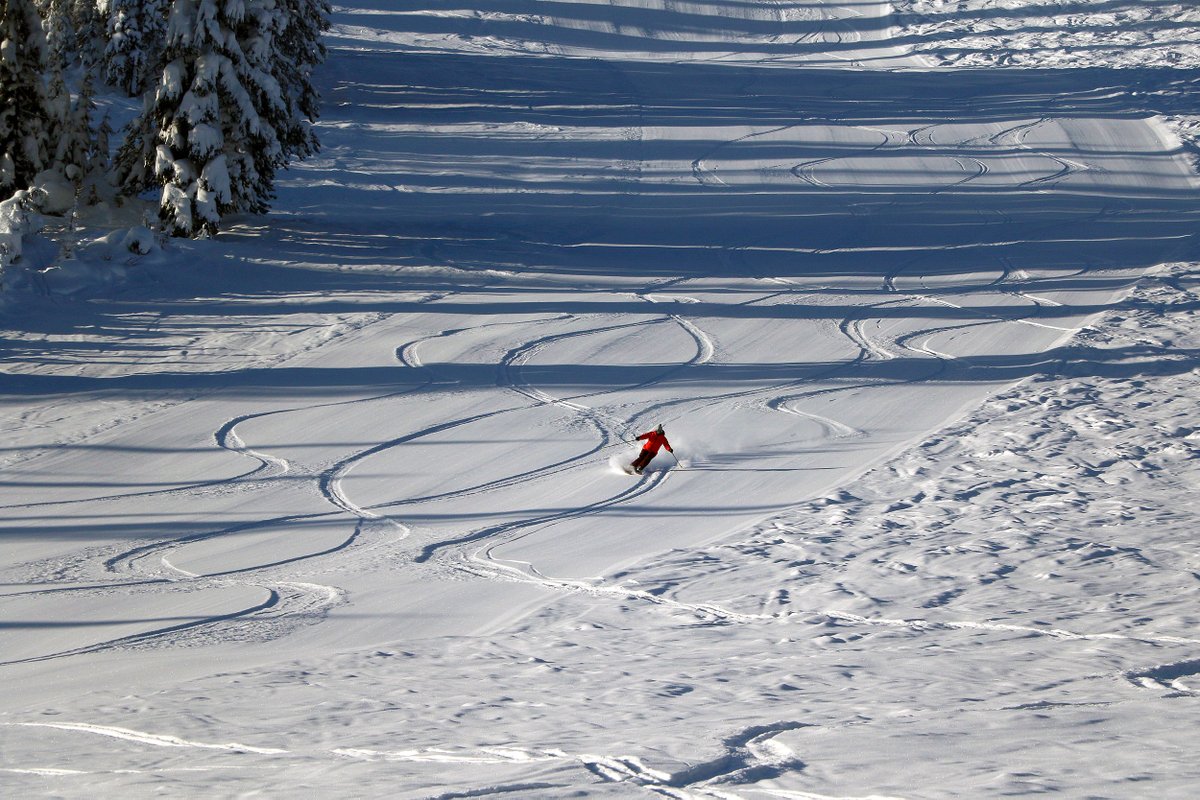 skilookout's tweet photo. 12/31 - Beautiful Day @SkiLookout Sunshine and Fresh Snow! Nice way to kick 2021 to the curb. Bring on 2022! #OptOutside #PNWSkiAndSnowboard #SkiIdaho #VisitIdaho #SkiMontana #1PowderPlace https://t.co/W1AcQsQ3w3