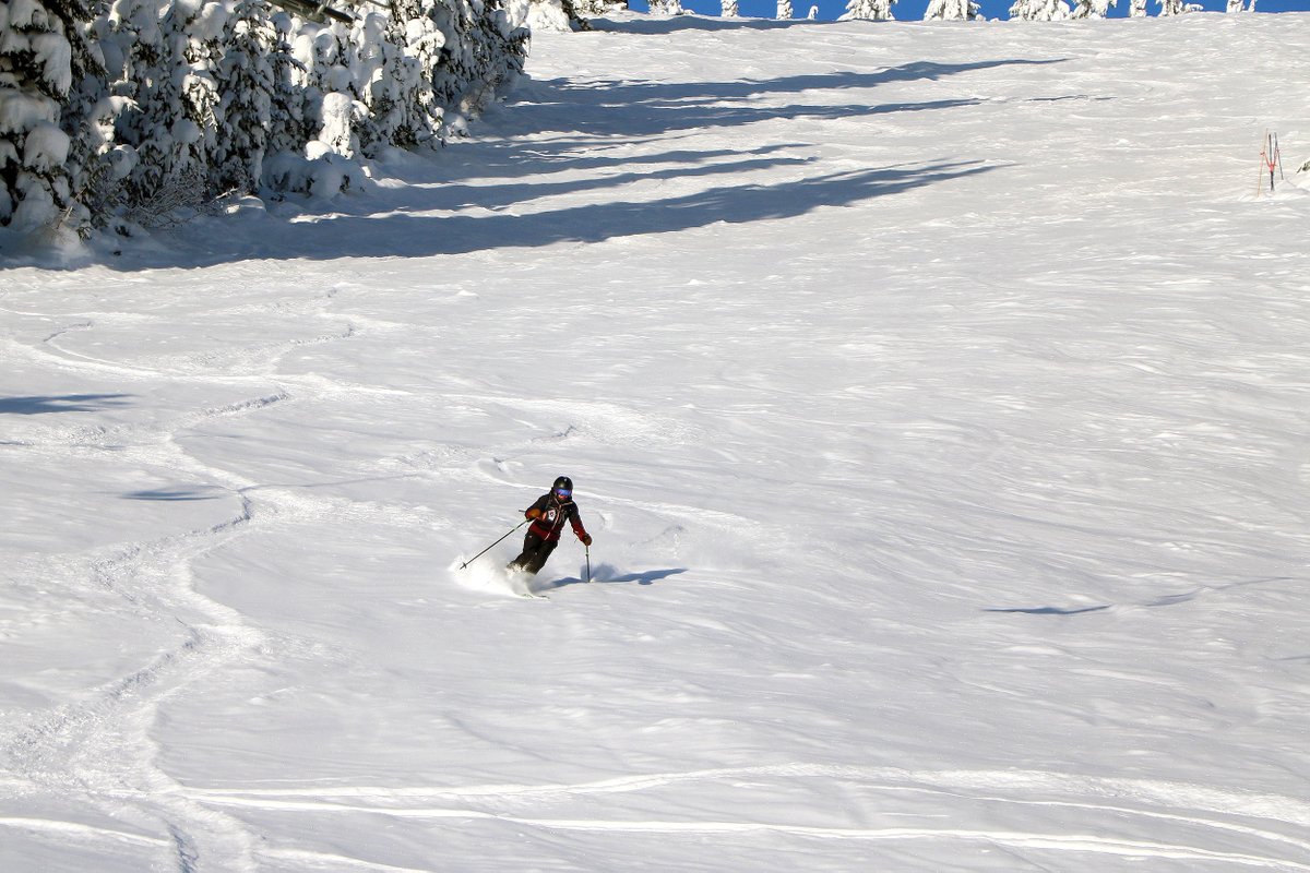 skilookout's tweet photo. 12/31 - Beautiful Day @SkiLookout Sunshine and Fresh Snow! Nice way to kick 2021 to the curb. Bring on 2022! #OptOutside #PNWSkiAndSnowboard #SkiIdaho #VisitIdaho #SkiMontana #1PowderPlace https://t.co/W1AcQsQ3w3
