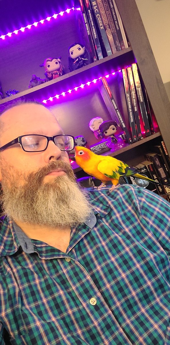 Dramateacher79's tweet photo. #SunConure #FindFamiliar #DungeonsAndDragons https://t.co/hLZyU768U2