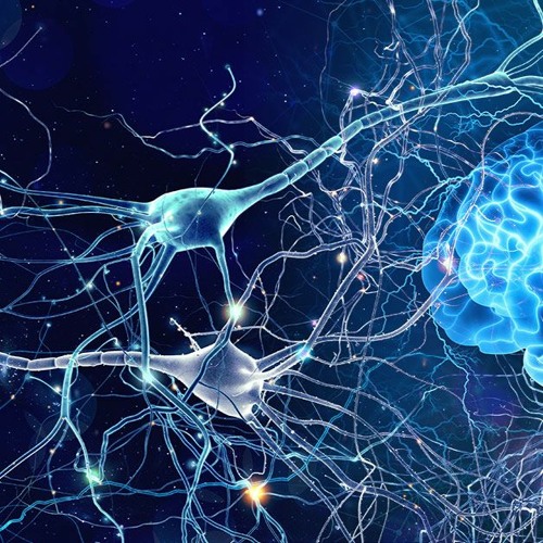 A 2014 review notes that the antioxidant compounds in berries have many positive effects on the #brain, including:

~improving communication between brain cells
~increasing plasticity
~delaying age-related neurodegenerative diseases

buff.ly/3j7BFFM

#brainhealth