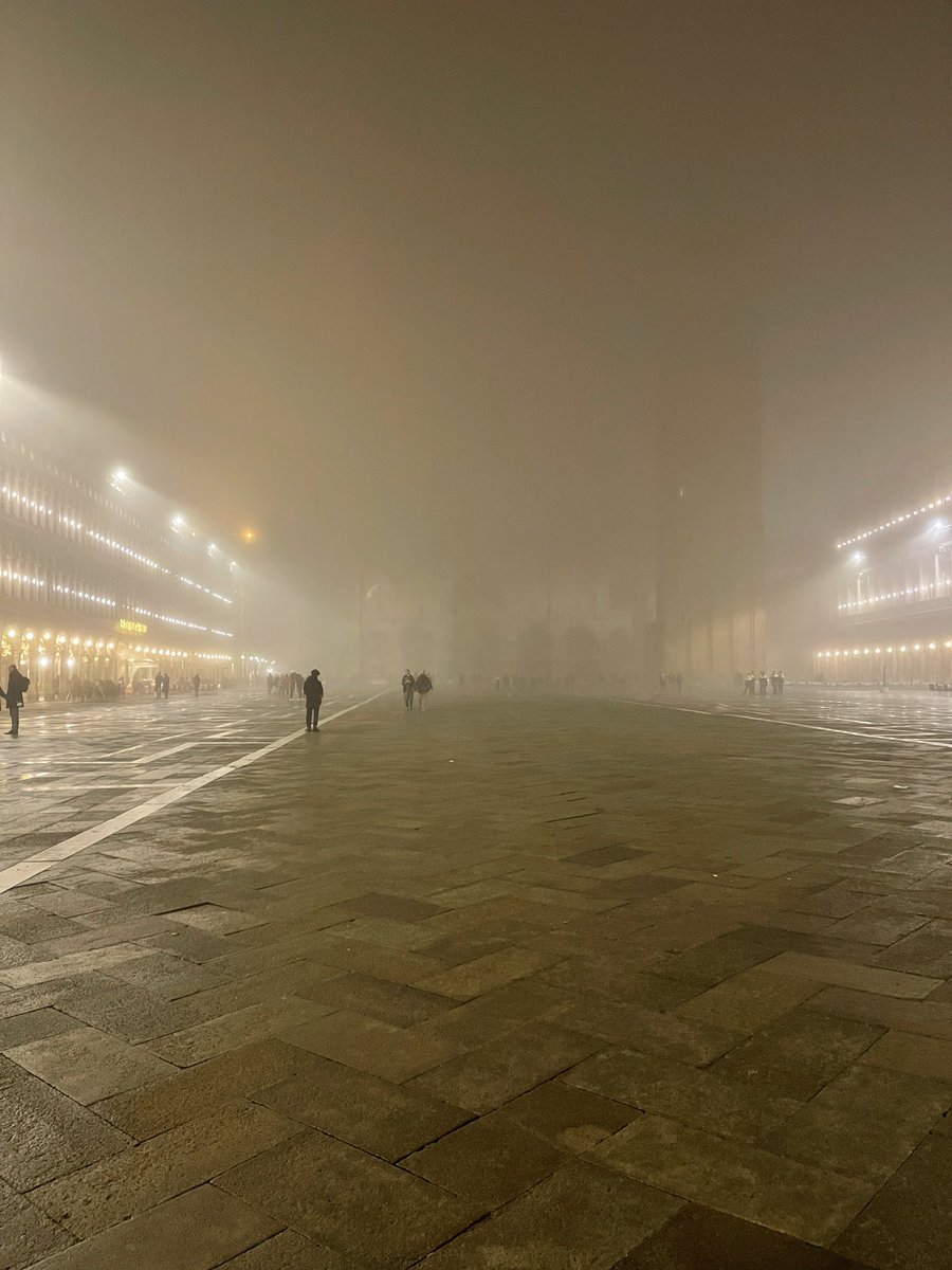 Selvaggia Lucarelli tweet media