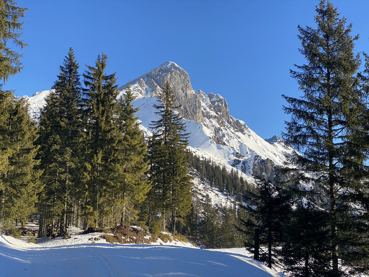 stefan_priesner's tweet photo. Happy New Year from a fantastic ski tour during a short break in Austria on the last day of 2021. Escaped to the mountains since it was eerily warm in the valleys - up to 17 degrees in the middle of winter!! #climatechange #scheiblingstein #skitouring https://t.co/fZfbzYDyhd