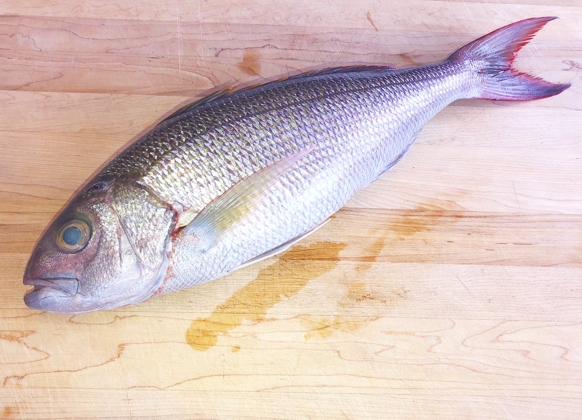 ChefMavro's tweet photo. Fresh! #luckywelivehawaii #fishauction https://t.co/C8TapjzaqZ