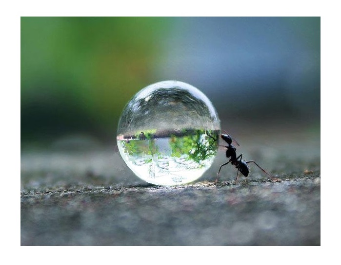 Que 2022 vous apporte force et équilibre, curiosité et humilité, 
et la sagesse de préserver la seule planète habitable qui soit à notre portée !
🌍🐾🌿😘
(Photo by Rakesh Rocky, Warangal, India)