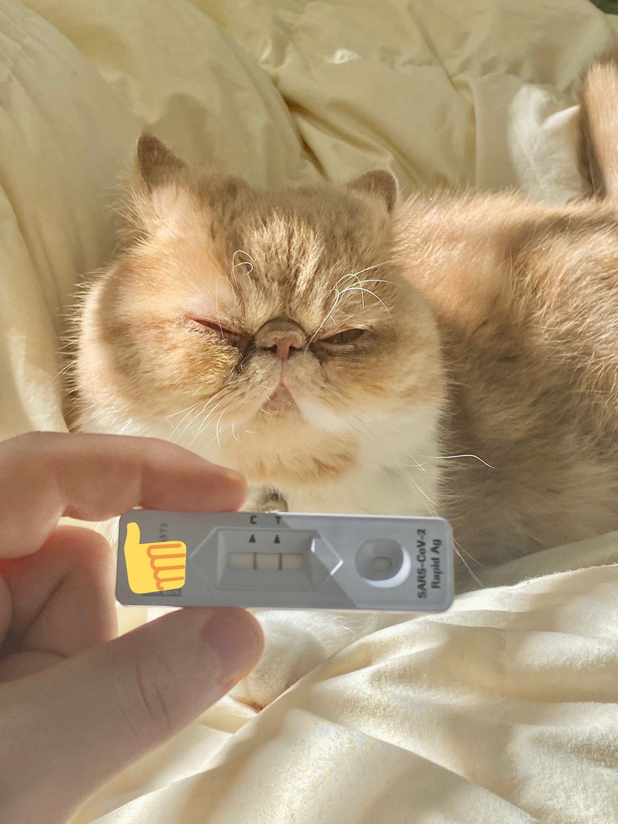 SwaggerSouls tweet media