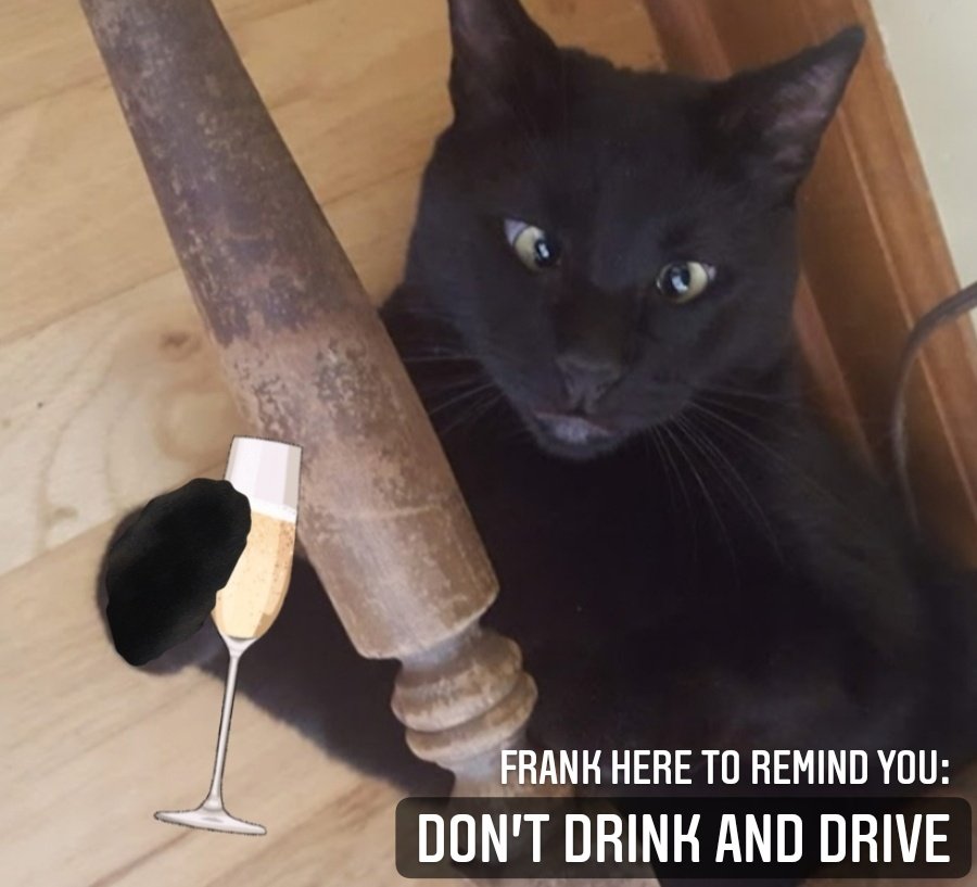 BigSilkFrank's tweet photo. Out of all the days in the year, New Years tends to have the most drunk drivers. 
• PLEASE Think before you drive, and do not let friends drive drunk. Be careful on the roads, and opt to stay the night where you are.
#safety #newyears #newyearseve #roads #drunk #drinking https://t.co/AgqeRU7GGZ