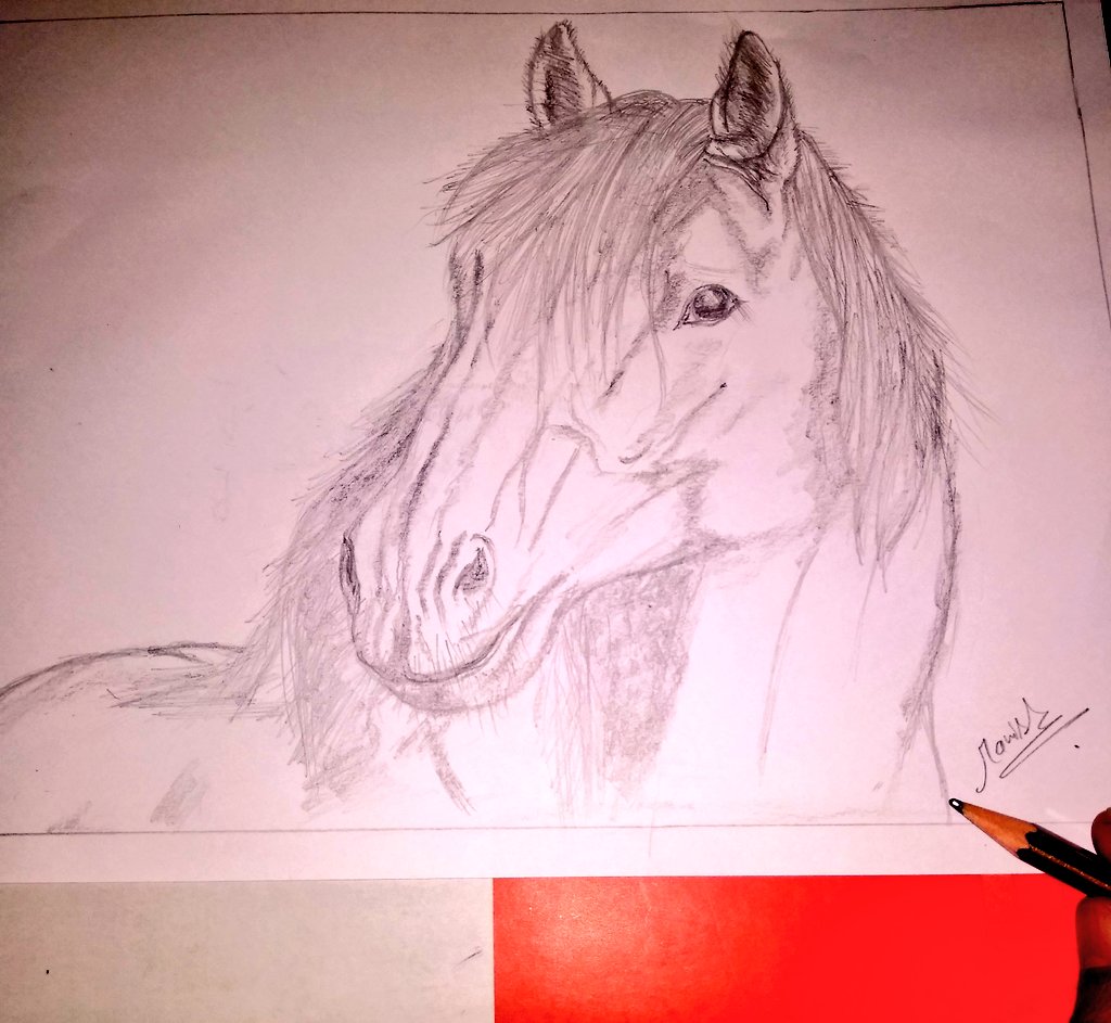 flexandcode's tweet photo. Time like an Unbridled π horse....
#Time
#NewYear2022
#NewYear
#HorseRacing
#radialcode
#hisar https://t.co/uG2hqYnMKw