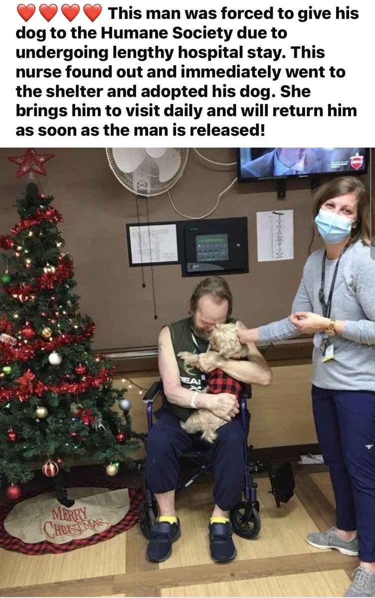 TalkinPetsRadio's tweet photo. Much gratitude to healthcare workers everywhere. Certainly a tough couple of years. Love seeing stories like this!!! #Heros #healthcare #dog #adoption #TalkinPetsRadio #pets #greatstory https://t.co/FxcX4mZWHi