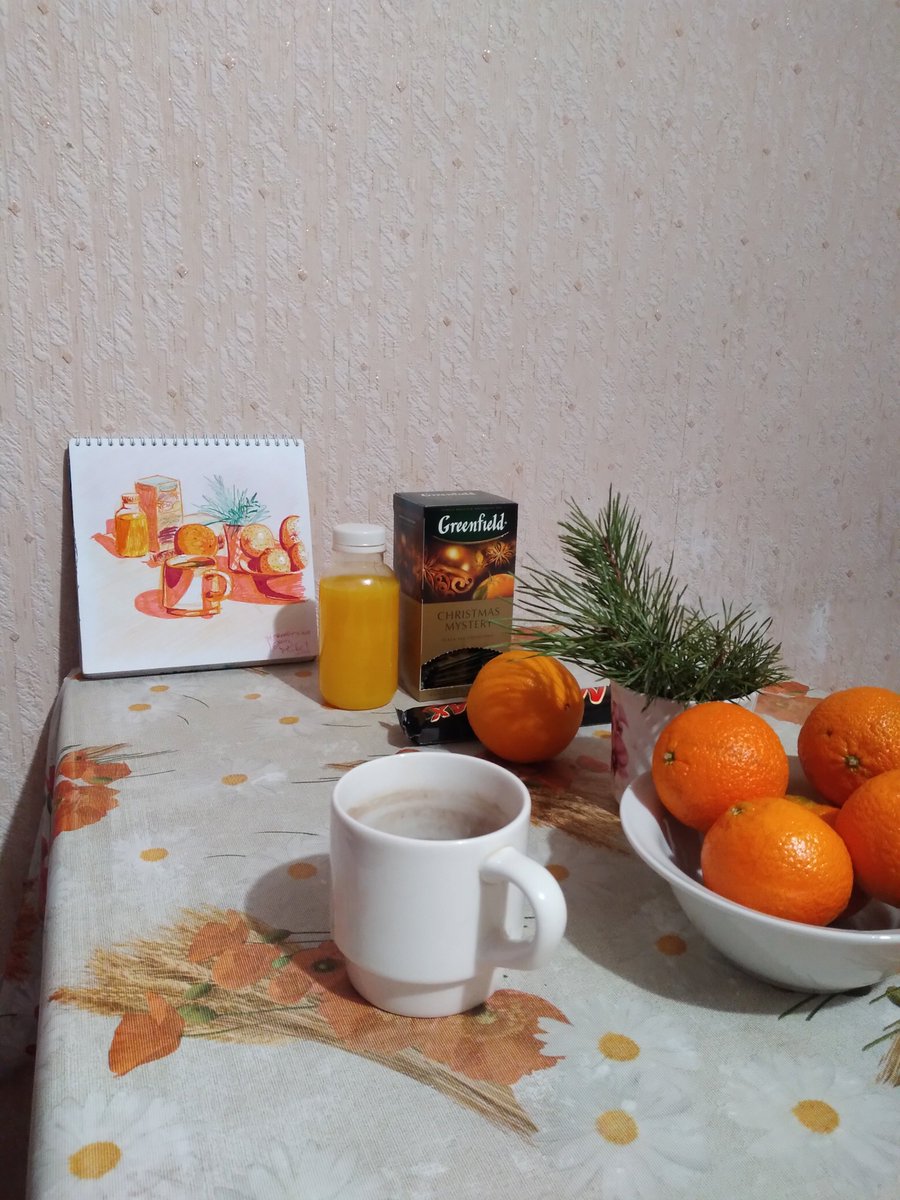 _barashka_be_'s tweet photo. новогодний шкетшный натюрморт!!🍊🍊🍊 https://t.co/95AsazokIa