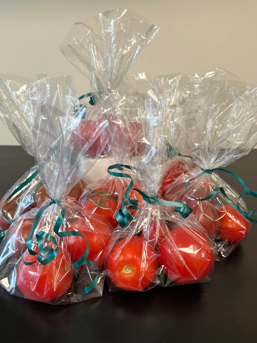 Grow_Orlando's tweet photo. The tomatoes we grew at the @ShepherdsHope  #microfarm are being given out to patients and we couldn't be happier! We hope you enjoy them as much as we loved growing them. #urbanfarming #urbanfarm #community #communityhealth 

Repost from Shepherd's Hope https://t.co/jn7V5hN8bQ