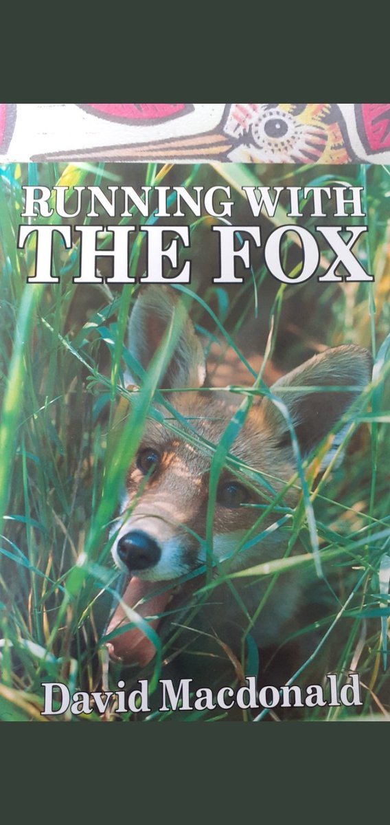 cliveswinsco's tweet photo. @albionau @friendofthefox Indeed! We must all keep "Running with the Fox" (and all wildlife) in any way we can - join &amp; support our #BoldHSA @HuntSabs &amp; let's finish these sickening, sadistic bloodsports for Good 🦊 @OtlPodcasts @Keeptheban_ @FoxHITeam https://t.co/LmsLg5obQR