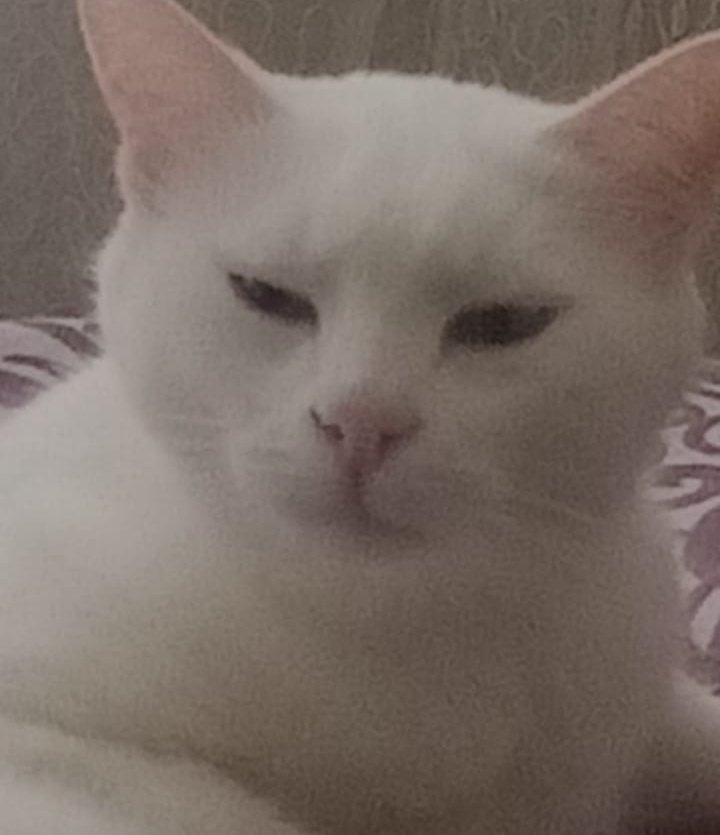 Yeni yıla dışarda eğlenerek giren arkadaşlarımın hikayelerine bakarken benim sıfat-ı eşgal