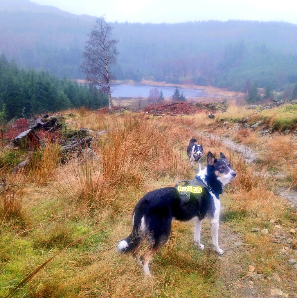 Nell & Jess tweet media