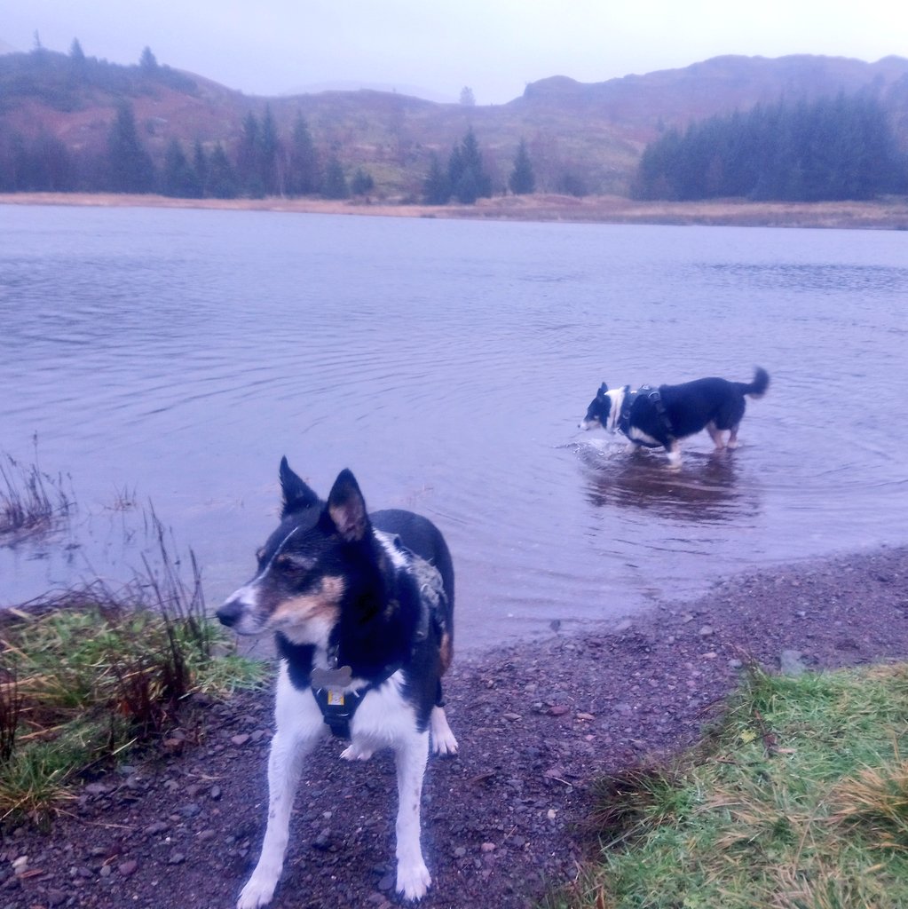 Nell & Jess tweet media