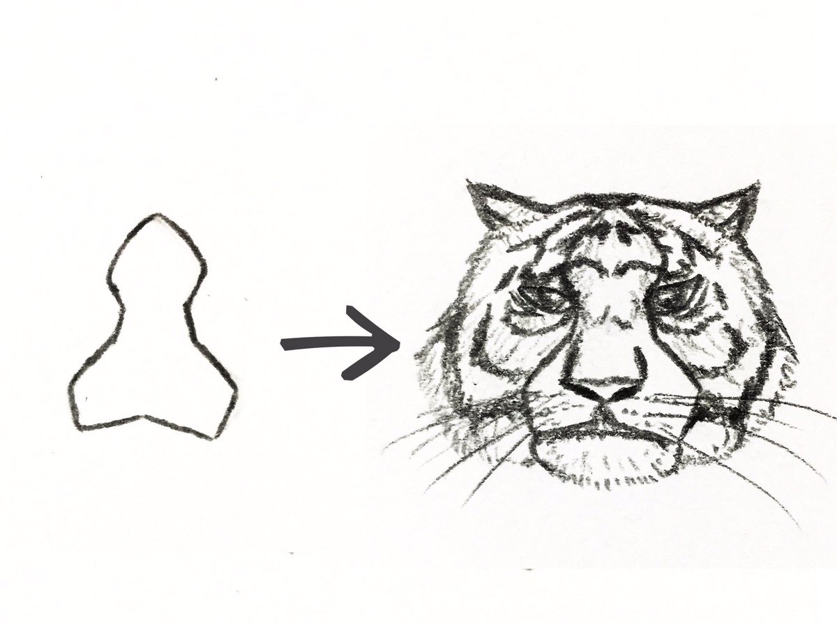 これは大昔ツイッターのどこかで見たネタなんですけど、トラ等の大型のネコ科の動物描く時はまずち●こを描くと良いって習ったんですよね。学生時代これ知ってノートに虎描きまくったんですよね。 