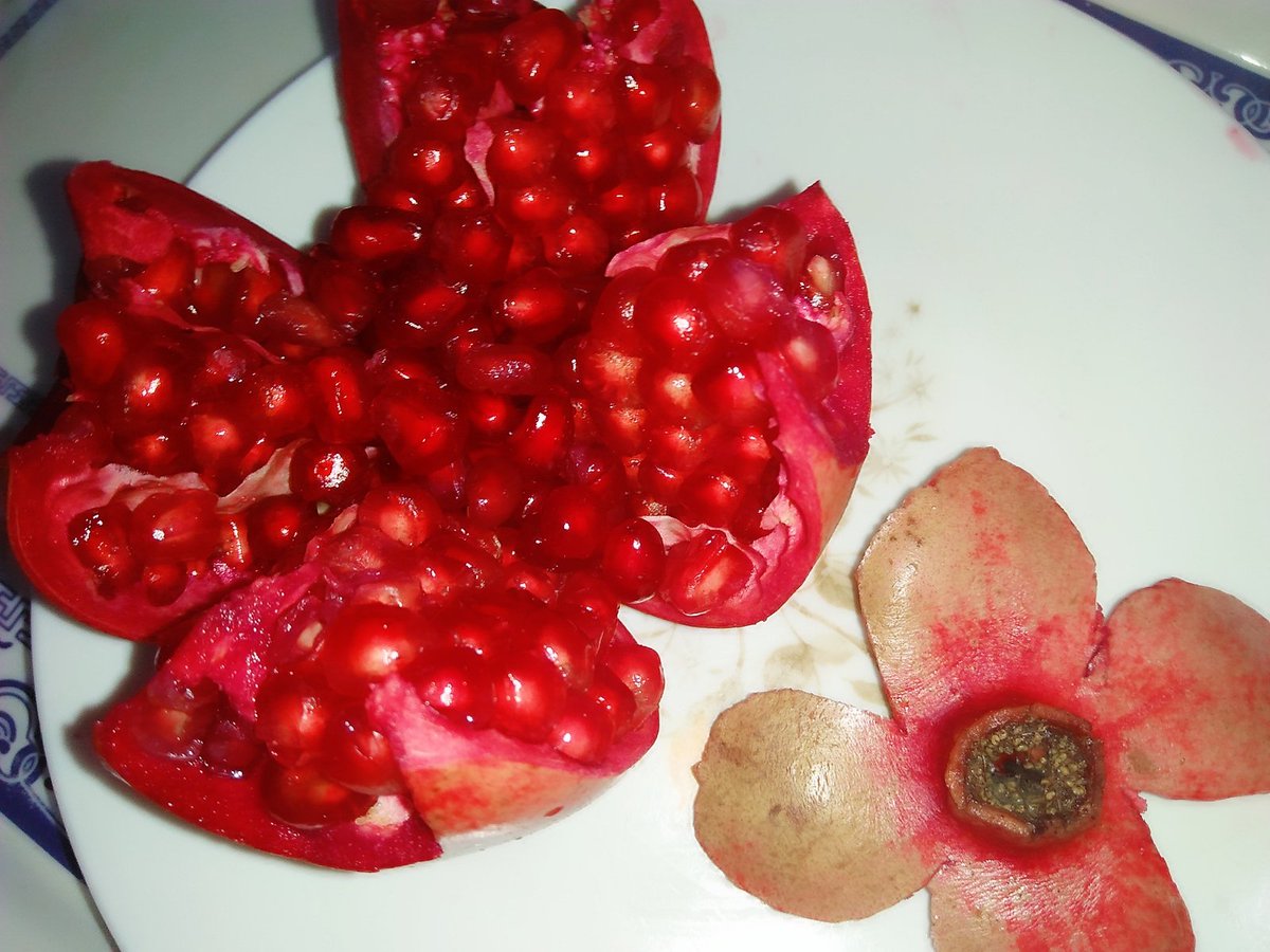 mishalmalikk's tweet photo. These Rubies should be eaten separately....
Look at these lovely Rubies
#Anaar #Pomegranate https://t.co/qVyrTe42T0