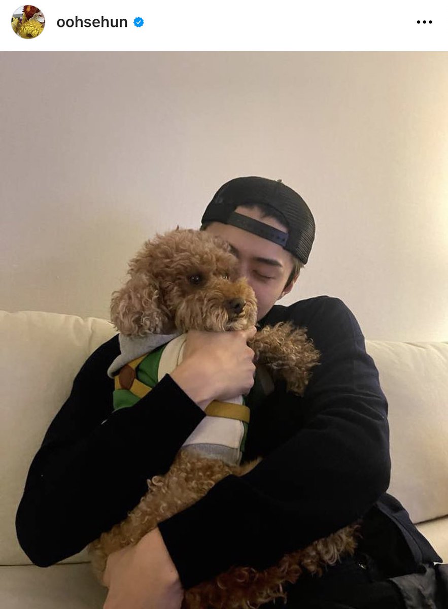 oohvivi1's tweet photo. han hyojoo liked sehun's latest ig post 🥺🧡 https://t.co/EGt0WzQOQU