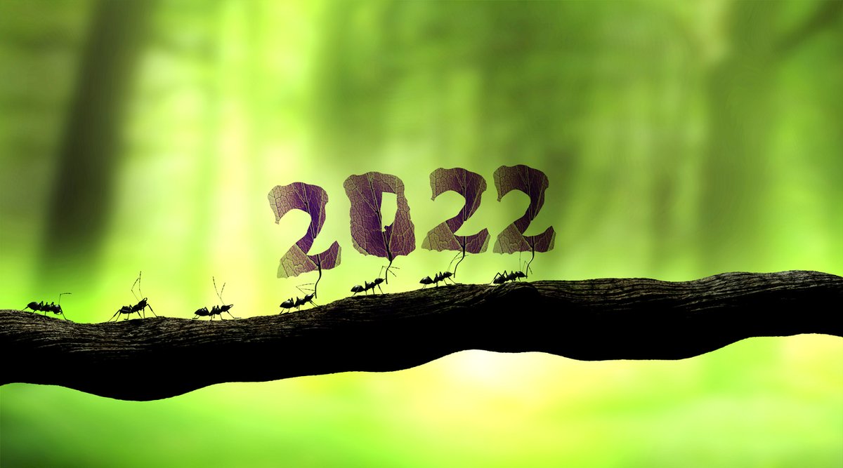 BurnsPest's tweet photo. As 2021 comes to an end, Burn's Pest Elimination is incredibly thankful for the opportunity we had to serve our community this year. We appreciate everyone that put their trust in our services, and we are excited to see what the new year has in store — Here's to a pest-free 2022! https://t.co/Fy6V8cHffx