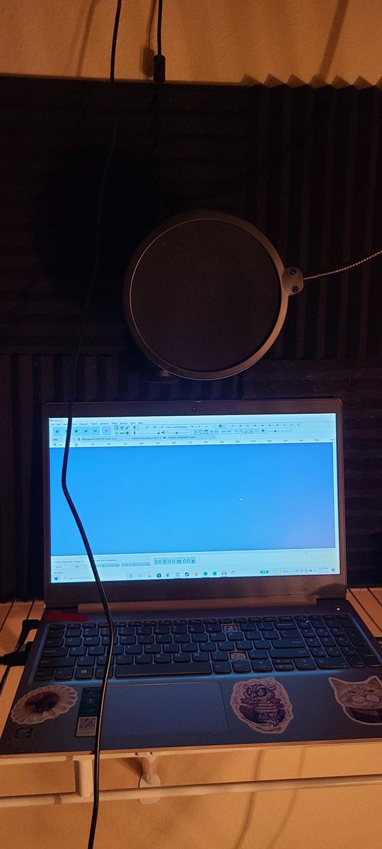 TypingNoise's tweet photo. 👌👌 *internal panic* 
#voiceover #demomaking https://t.co/0qFSNUSpI9