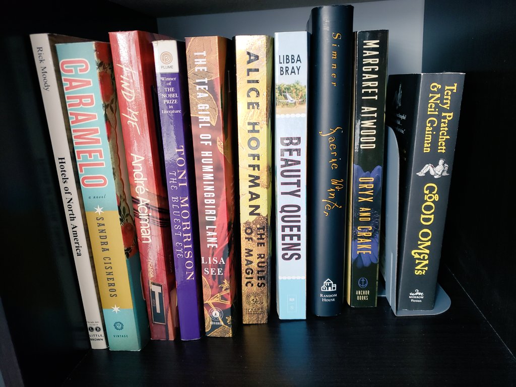 jangeliniauthor's tweet photo. You heard it here first, foks. Next year I'm going to read my TBR shelves, some of which have been hanging about for the past 10 years  😳 I've got 3 categories: classics, short stories &amp; plays, and random novels / sequels for which I need to reread the first #beatthebacklog https://t.co/mHOi55heF9