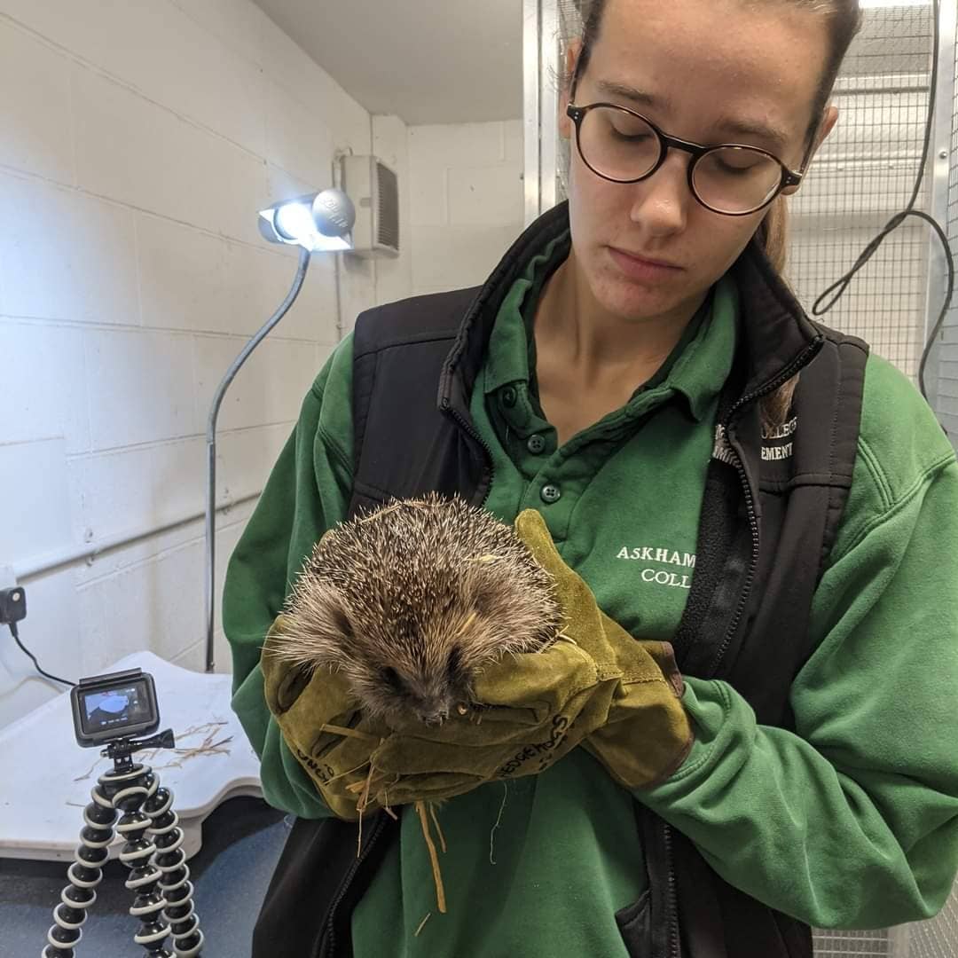 ABCWildPark's tweet photo. Happy New Year's Eve!
 
We'd like to take a moment to thank all our staff, students and visitors for their support during this challenging year! The Wildlife Park has continued to move forward in leaps and bounds this year.

We wish you all a safe and happy New Year! https://t.co/UhgnVQWobw