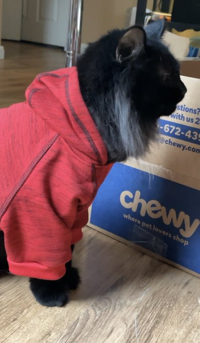 Just a gentleman in his hoodie https://t.co/IY2RWaGtm9<a href="/tag/smcontest"class="tags"><span>#smcontest</span></a>