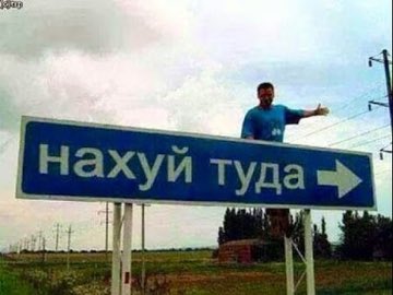 Alex tweet media