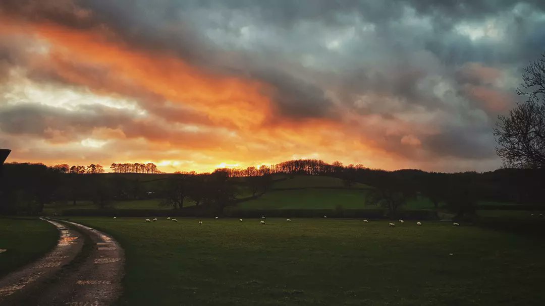 BenLangdown's tweet photo. Year 5 #RED2021 - 1826 consecutive days ✅
Toughest year yet with a min of 5km completed every day for the past year 🤦♂️ #LegsGone!
2021 seen out with a scenic trail 10km with a burning sunset to finish #run1826.
Who is up for year 6 of #runeveryday?
#running #trailrunning https://t.co/rqOgQDWDKy