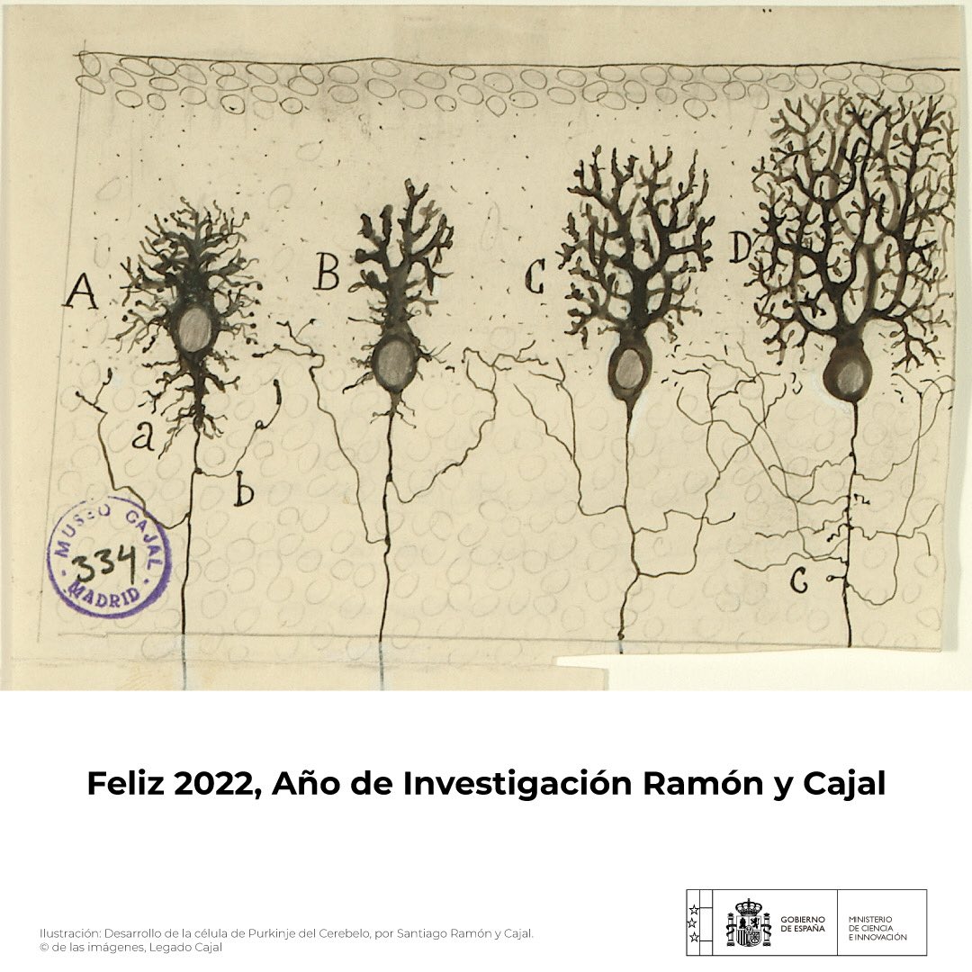 DianaMorantR's tweet photo. Que los retos compartidos y las lecciones aprendidas nos unan para construir juntos un año mejor.

Que la ciencia y la innovación guíen nuestros pasos para que, en 2022, recuperemos los abrazos y la prosperidad.

🧑🏻‍🔬Bienvenido 2022, Año Ramón y Cajal. https://t.co/GNoBlAOjpZ