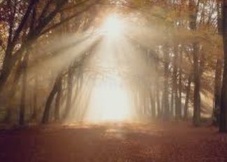 Barbarabxj349's tweet photo. @AnitaGarcia2525 @LouDPhillips @YMPhillips @Esai_Morales @thelisavidal @gatitweets @AMaria_Delsante @nkotbblockhead2 @SorayaAgency @Searose11 @sweetrhythms @carolynlawrence @4CherBear67 @maryhare0 @Karen25292831 @SherrieFinch16A Happy New Years Eve, friends. It’s finally the end of 2021! We survived. Many friends and family did not. To honor their memory, let’s take the lessons we have learned and find a way to a better world. I think I see a light down this way…
Love to you all.
#ANewPath https://t.co/MYLl4exJTh