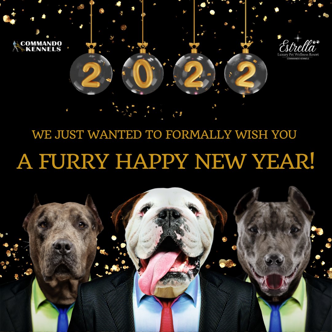 KennelsCommando's tweet photo. Wishing your dog and you a playful, pleasant, and a pampered New Year! 🙂#happynewyear2022 #positivetraining #dogtraining #trainedatCK #dogs
#commandotraining #doglife
#distractiontraining #doglover
#grouptraining #dogoftheday https://t.co/t5TQKZli1E