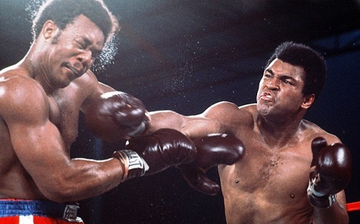 The Fight City tweet media