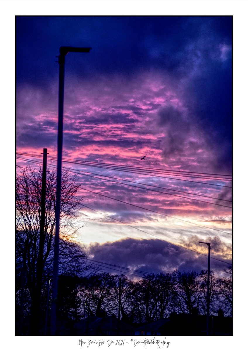 iDreamofPiesPhotography tweet media