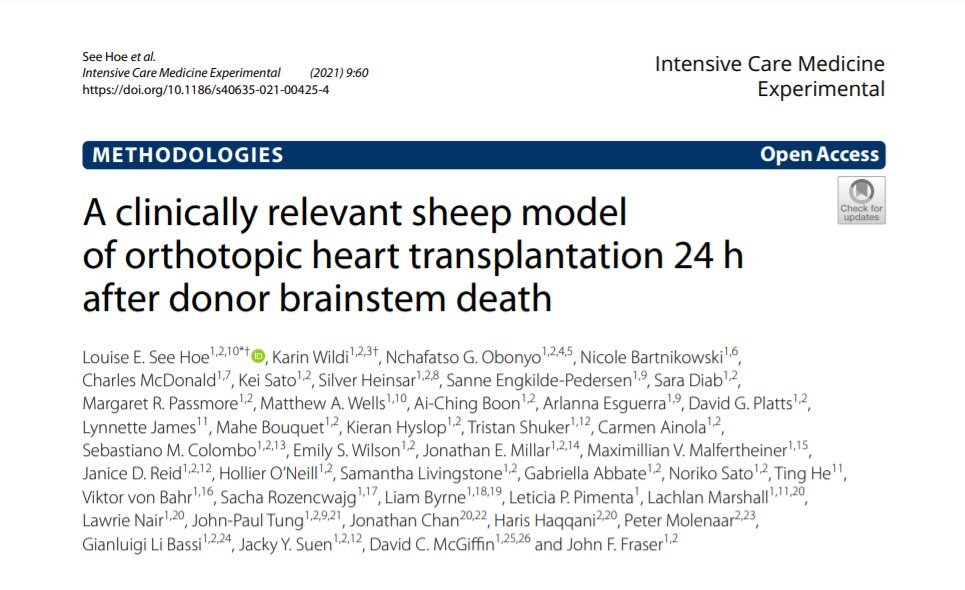 🫀Heart #transplantation from brainstem dead donors is limited by a global #donor heart shortage.

This #experimental model may help assess novel perfusion technologies.

🔎Find out how here: icm-experimental.springeropen.com/articles/10.11…

#ICMx #IntensiveCare #FOAMed #FOAMrad

<a href="/ESICM/">ESICM</a> <a href="/ONT_esp/">Organización Nacional de Trasplantes</a>