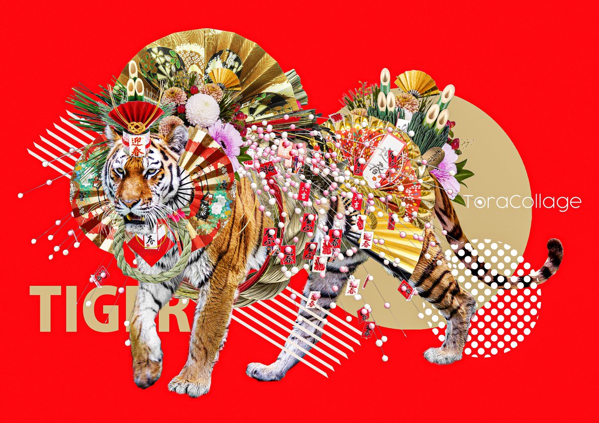tiger no humans red background flower new year chinese zodiac year of the tiger  illustration images