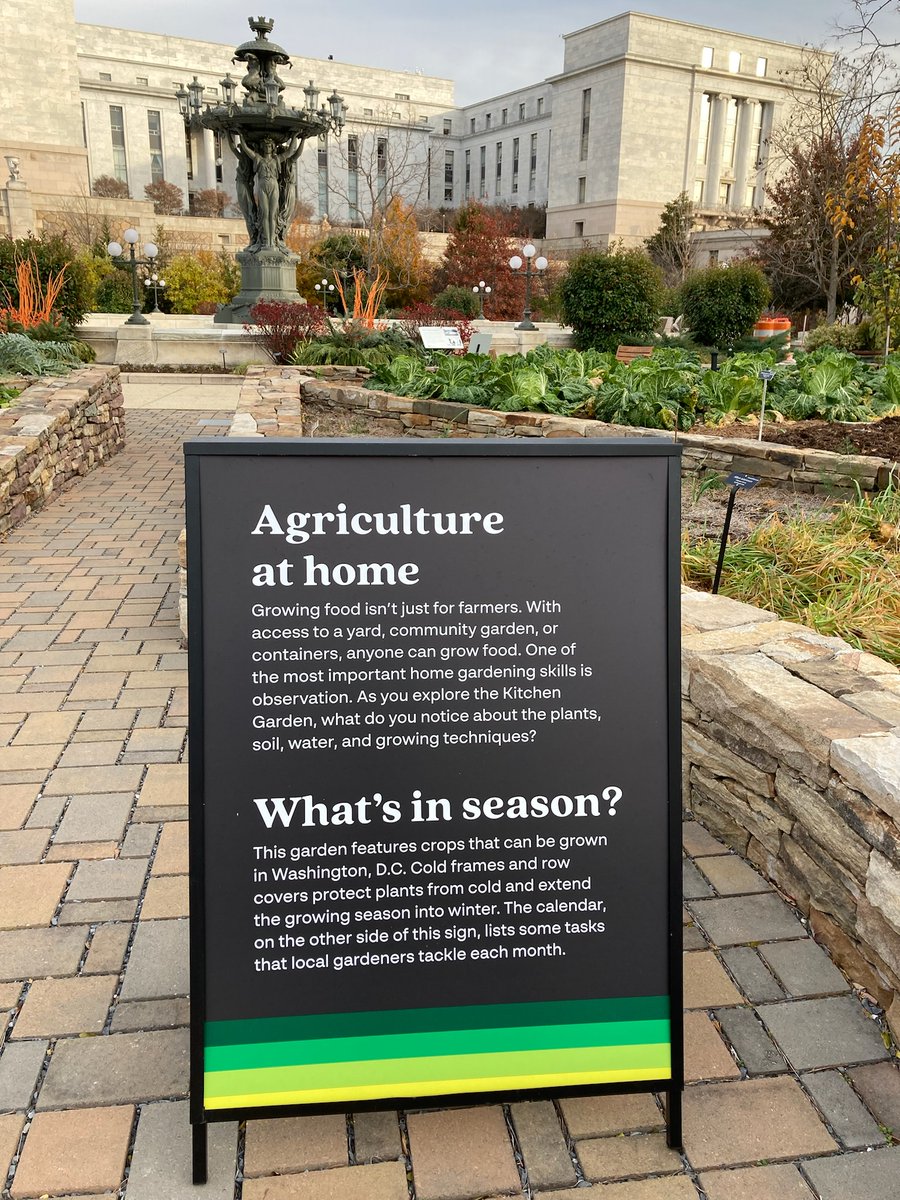 jommorin's tweet photo. the kitchen garden @USBotanicGarden was lovely, where else can you find cabbage growing next to a 19th century fountain designed by the same guy who did the Statue of Liberty?? https://t.co/4Qy1ifoaXx
