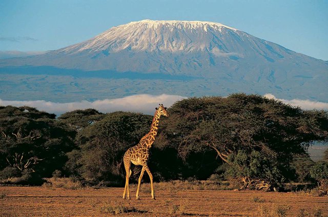 east_facts's tweet photo. FACT: Africa's most visited tourism sites in 2021;

1. Lake Retba|Senegal

2. River Nile

3. Lekki Conservative Center|Nigeria
4. Victoria Falls

5. Table Mountains| South Africa
6. Sahara Dunes

7. Mt. Kilimanjaro

8. Pyramids of Egypt

9. Lake Abbe

10. Sossusvlei Dunes|Namibia https://t.co/gZGOARpMwi