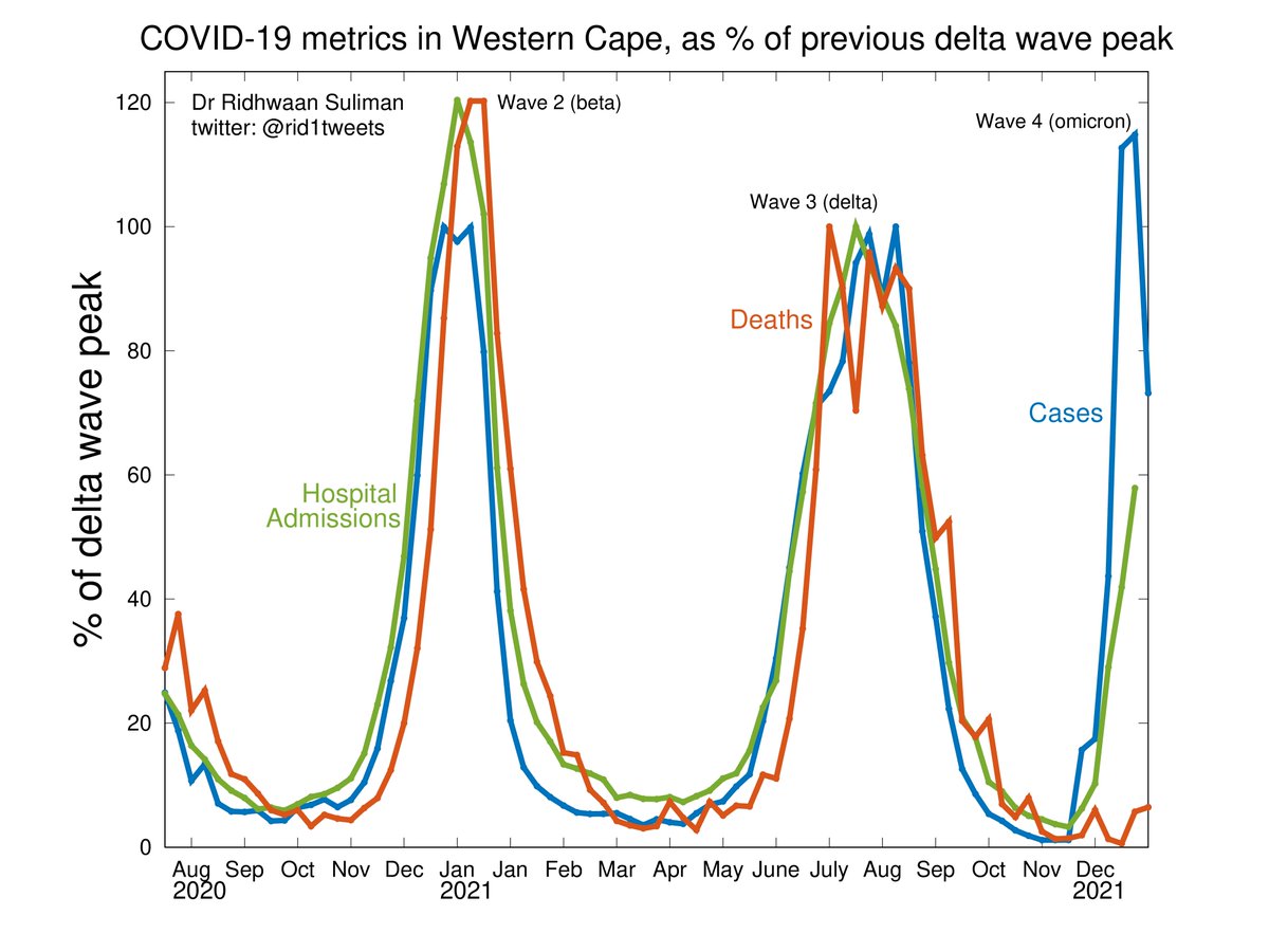 rid1tweets's tweet photo. And here's a comparison of #COVID19 cases, hospitalisations and deaths in WESTERN CAPE 🇿🇦 (pop. ~7M) normalised against previous delta wave peak:

• Cases peaked at 112% of delta peak
• Hospitalisations at 58% of delta peak
• Deaths at 6% of delta peak

#Omicron #coronavirus https://t.co/fzgyd3LXbI