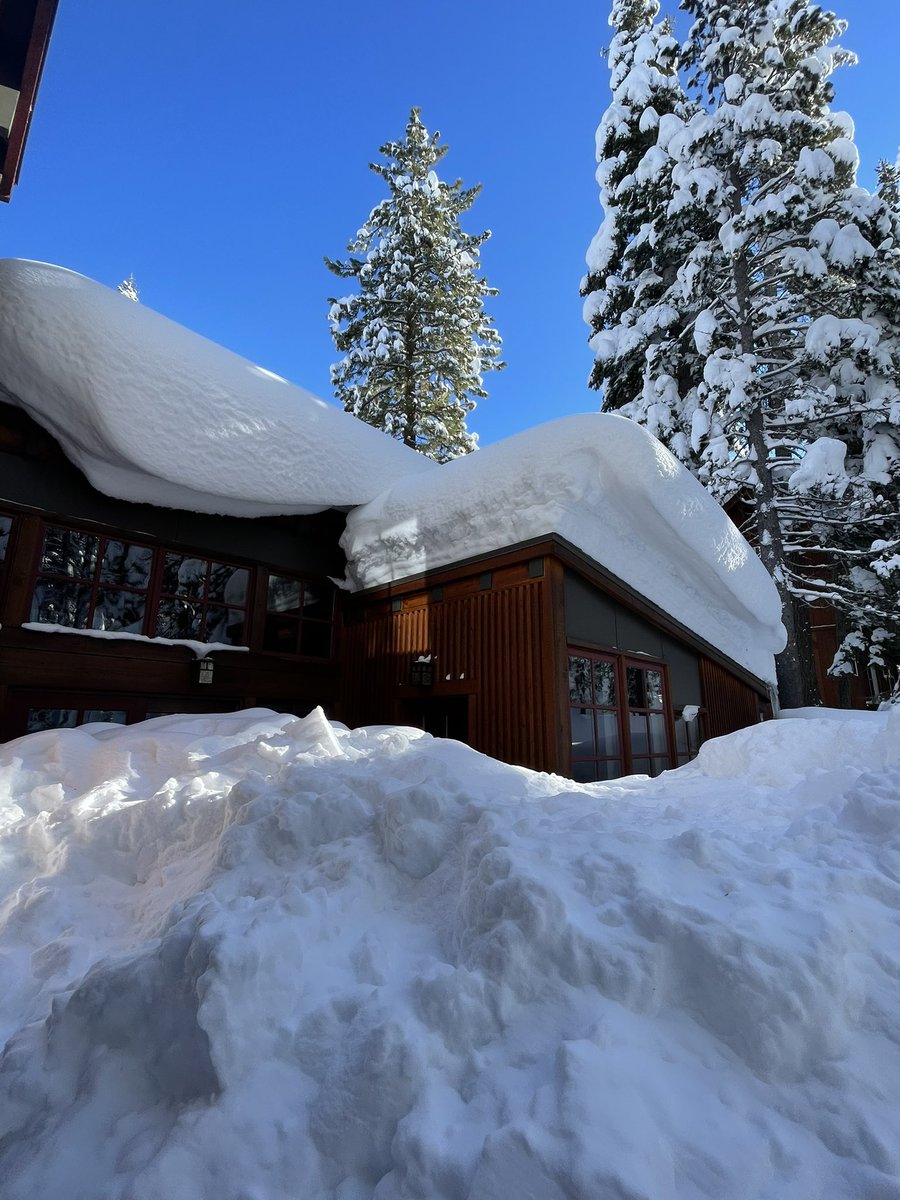 Tatiana Fedorova tweet media