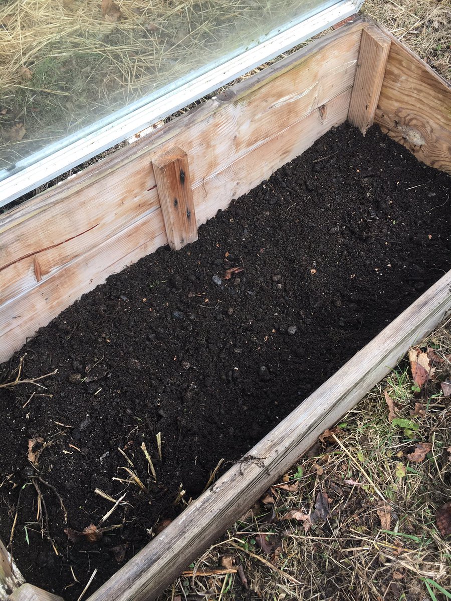 ForagingForever's tweet image. As long as I’m off from work and the weather is nice…moved the cold frame over some established arugula plants (lower right corner), sowed Red Russian Kale, Premier Kale, Pink Lady Slipper radish, and more Rocket arugula. 
#gardening #coldframe
