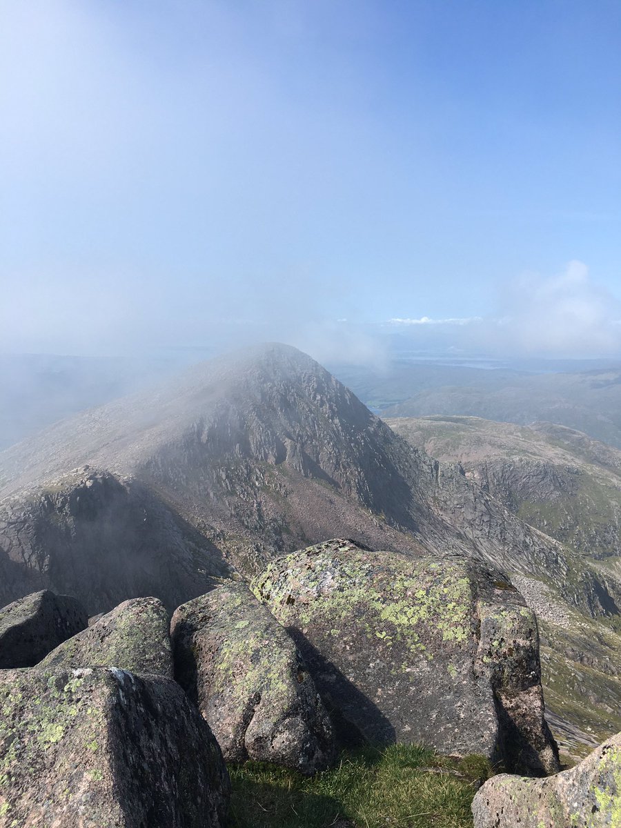 Jamie Cedar tweet media