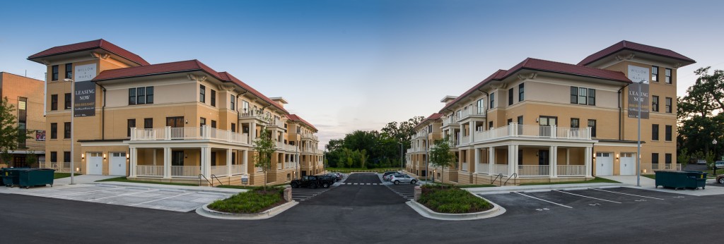 Willow and Maple tweet media