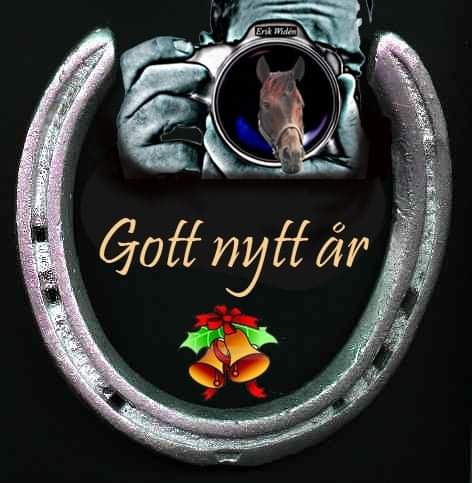 Med ønske om et godt nytt år til alle der ute 🍺🍾🥃🥂