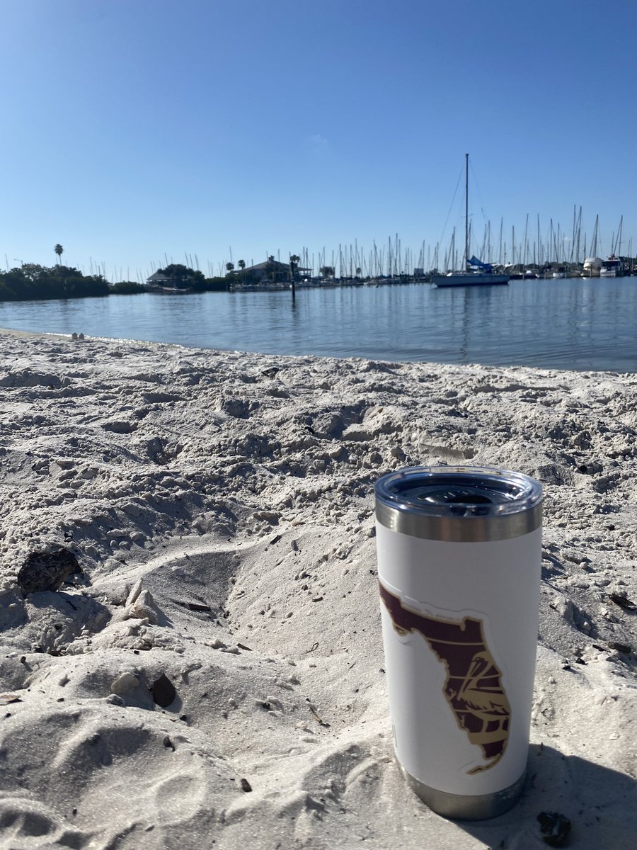 lllenhart's tweet photo. #NewYearsEve @CityofTampa style! #82andSunny https://t.co/h3Qlf7fctI