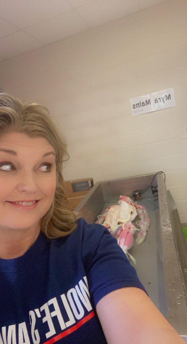 cwolfie2017's tweet photo. Just spending time with my bff- beloved freaky friend!! She’s killing me, people!! #syndaverluv #igottagetalife #helpmehelpher @CrystalFinkLove @syndaver @WCDE_TN @PeggyDWright1 @hosa_dchs https://t.co/2L7GGblw8P