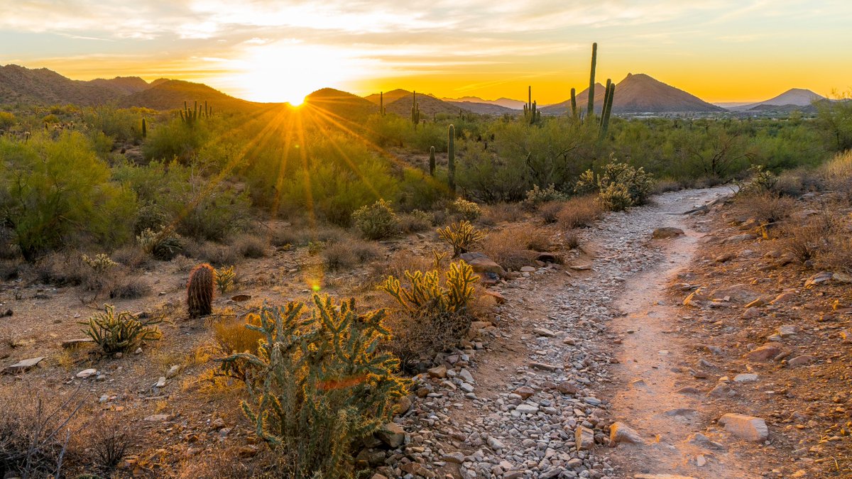 The New Year is almost here. This time of transition is an opportunity to find or forge ahead on a path to energy, peace, and joy. This year, and every year, we’re honored to guide you on your lifelong wellness journey. Here’s to a healthful and happy 2022. 
#HappyNewYear