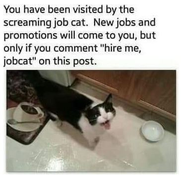 DonutRevival's tweet photo. Yes....of COURSE WE LISTENED. ๐คฃ๐
And btw? Drug dealer is one of Magical Jobcat's jobs too. Of course.
Thanks for the love, everyone. ๐
#MagicalJobcat https://t.co/MaUSJRxGcj