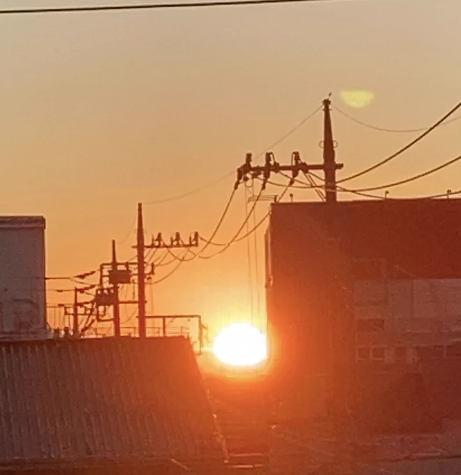 今年は無理だったので布団の中から去年の初日の出をお届けします 
