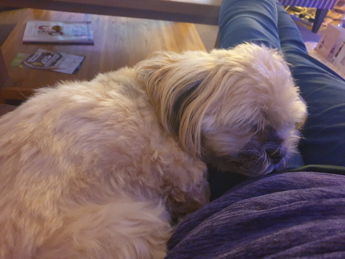 George Mears tweet media