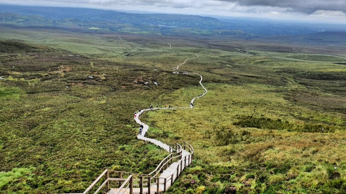 CuilcaghTrail's tweet photo. Got your New Years resolution ready? 

With 11km of walking distance and a final assent of 450 steps to the viewing platform, #CuilcaghBoardwalk is the perfect way to meet your fitness goals this #NewYear.

📸: Laura Joyce 

#Cuilcagh #2022 #MyCuilcaghBoardwalk #Fitness https://t.co/4HUaBAK2ck